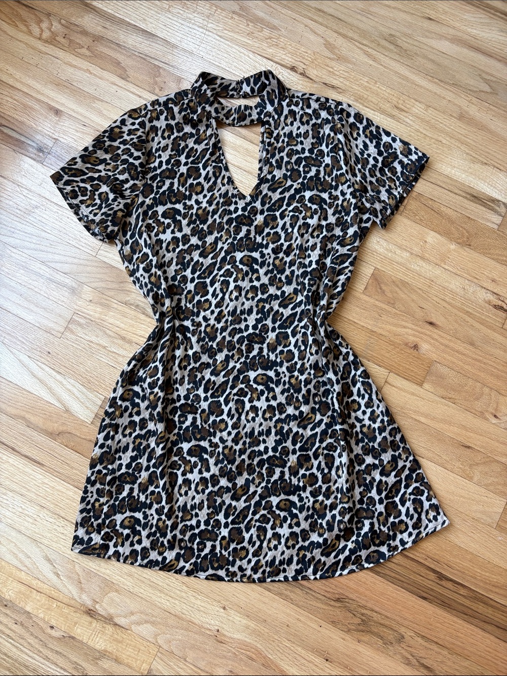 Leopard Print Mini Dress